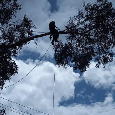 37c13fdd 7786 4d86 95bd 2c28e2b28771 37c13fdd 7786 4d86 95bd 2c28e2b28771