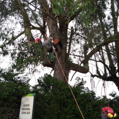 B8e4003d B3f5 4e0e Aa18 21b77ef3a927 B8e4003d B3f5 4e0e Aa18 21b77ef3a927